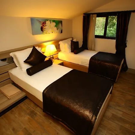 S3 Seahorse Club Hotel