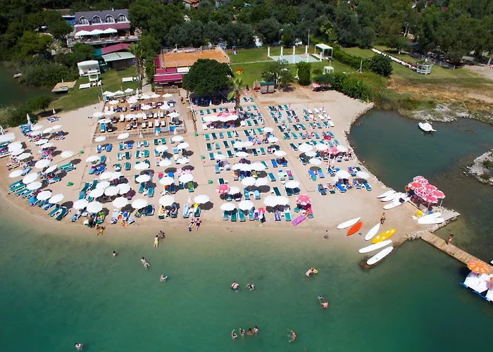 S3 Seahorse Club 3*