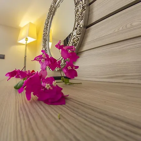 Hotell S3 Seahorse Club 3*