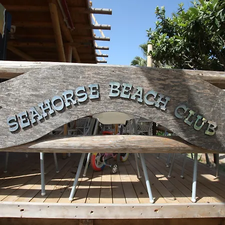 S3 Seahorse Club Öludeniz