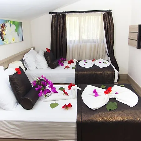 Hotell S3 Seahorse Club 3*