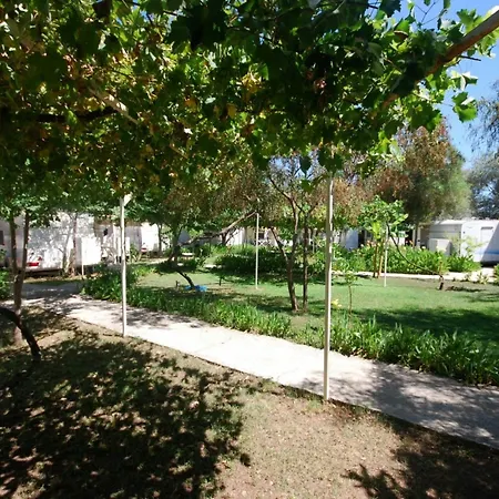 S3 Seahorse Club Hotell 3*